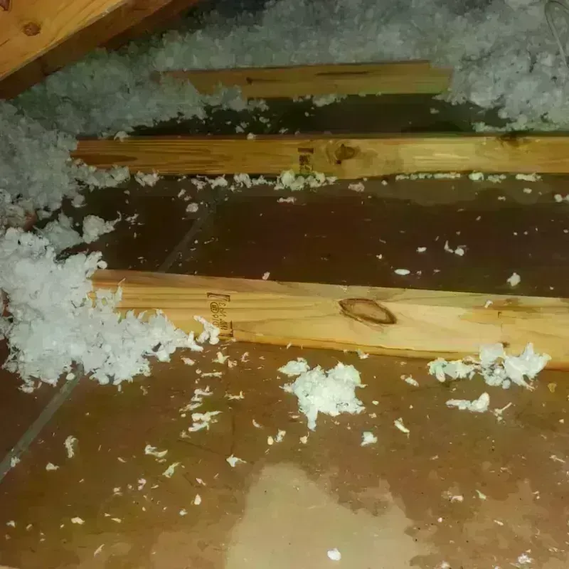 Attic Water Damage in Bent County, CO