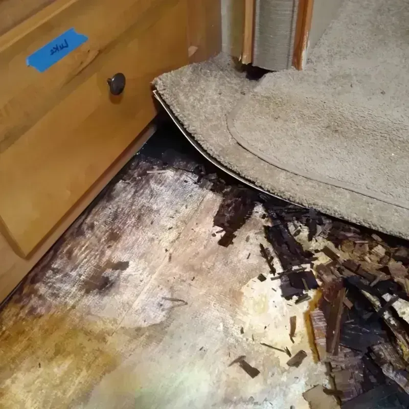 Wood Floor Water Damage in Bent County, CO